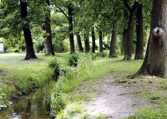 Bachlauf, renaturiert, Kleingartenanlage Kuhweiher, Nürnberg