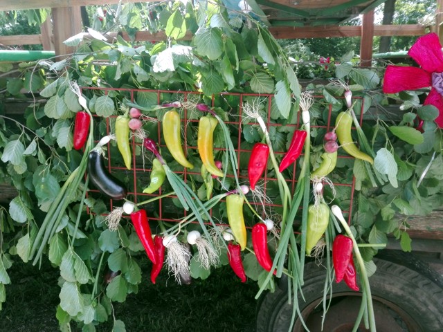 Pächter, Rosi und Andi